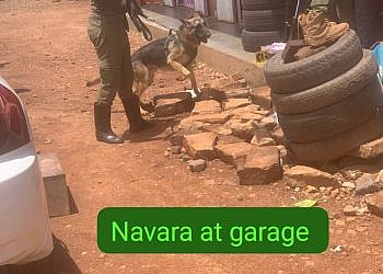 Police sniffer dog tracks suspected car spare parts thieves to Kasangati garage