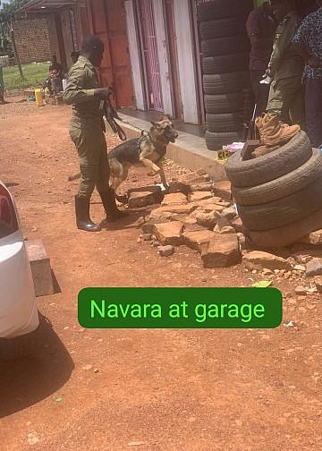 Police sniffer dog tracks suspected car spare parts thieves to Kasangati garage