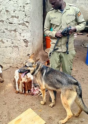 Police snifer dog tracks butcher who stole, slaughtered neigbour’s goat