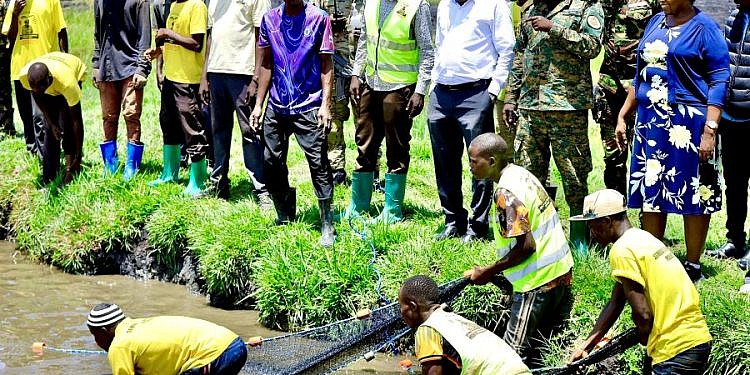 Museveni’s fish farming initiative is the magic bullet to poverty- Pallisa farmers