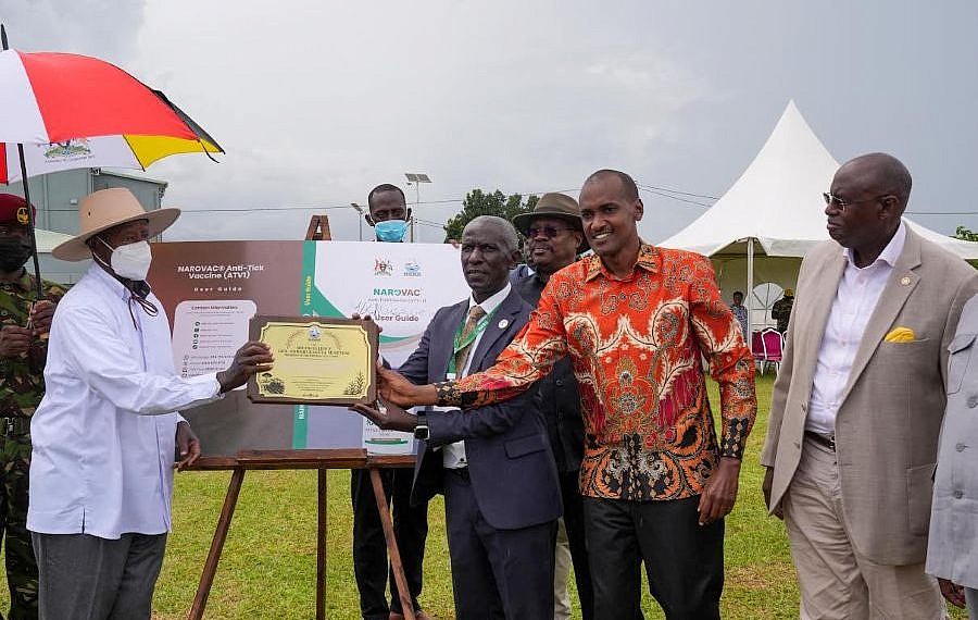 Museveni launches Uganda’s first locally manufactured anti-tick vaccine