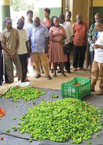 Bunyoro farmers secure export deal to supply European markets