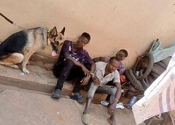 Three arrested over murder of factory worker in Mukono