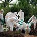 Uganda confirms Ebola case after Congolese man dies in Kampala