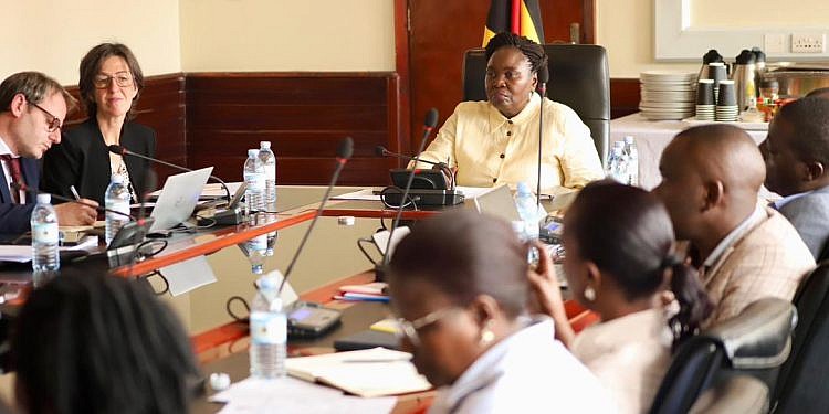 Uganda starts feasibility study for 400MW Kiba hydropower project