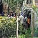 Security raids Anita Among’s home in Nakasero, searches it