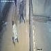 Kampala: Police investigate viral panga attack on couple
