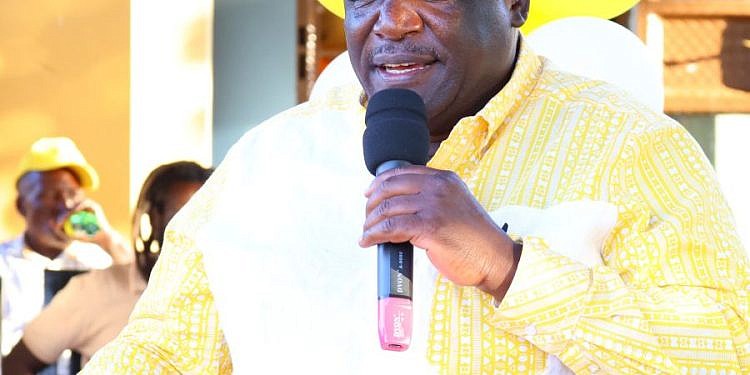 Dombo rallies Kalangala to vote NRM’s Idah Nabayiga for woman MP