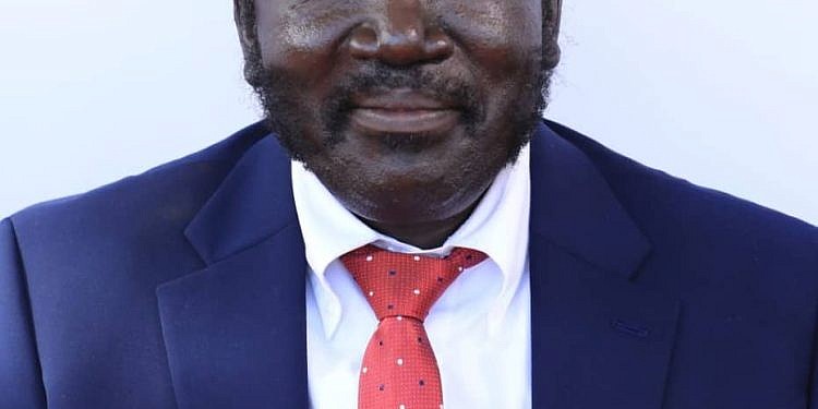 Bobi Wine appoints Nambeshe acting NUP president