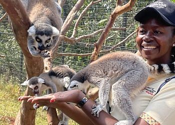 Private conservation centres key to Uganda’s tourism future, says Minister Nakawuki