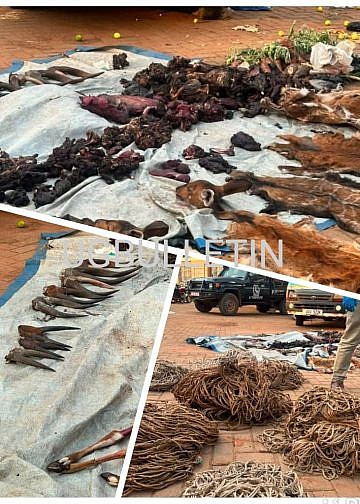 22 arrested as police intercept taxi carrying wildlife meat in Nakaseke