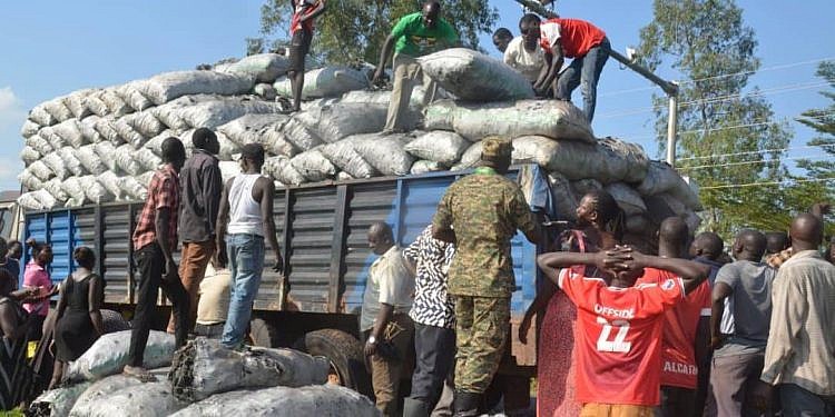 UPDF distributes 500 bags of seized charcoal to Gulu residents