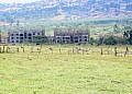 MPs question continued occupation of NSSF Temangalo land by businessman Nzeyi nearly 20 years after purchase