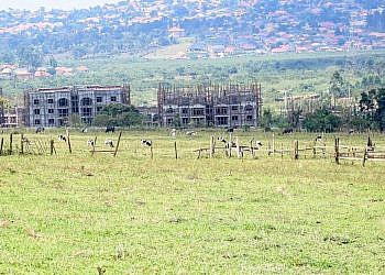 MPs question continued occupation of NSSF Temangalo land by businessman Nzeyi nearly 20 years after purchase