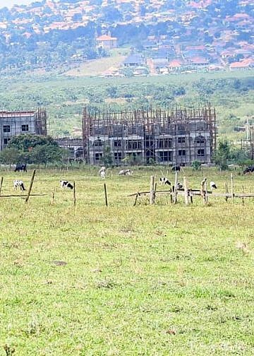 MPs question continued occupation of NSSF Temangalo land by businessman Nzeyi nearly 20 years after purchase