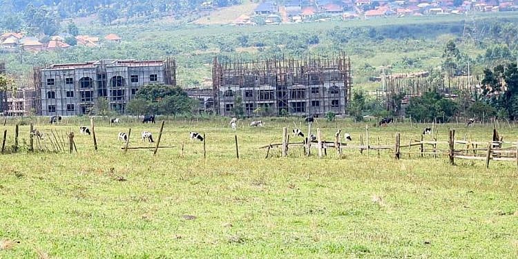 MPs question continued occupation of NSSF Temangalo land by businessman Nzeyi nearly 20 years after purchase