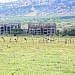 MPs question continued occupation of NSSF Temangalo land by businessman Nzeyi nearly 20 years after purchase