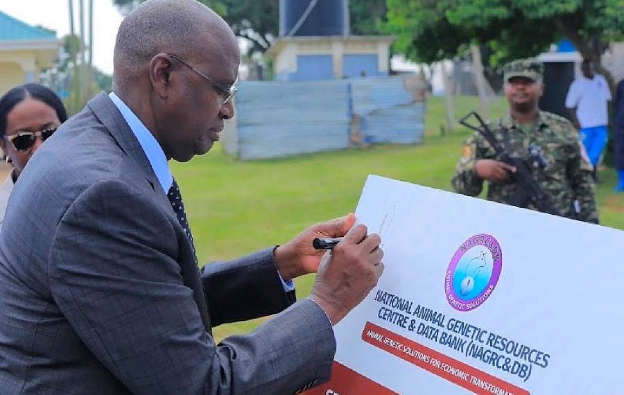 NAGRC unveils five-year plan to boost PDM livestock enterprises
