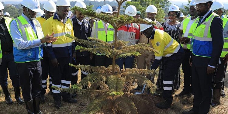 EACOP ramps up environmental restoration as first oil nears