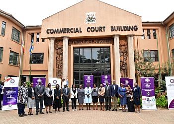 Commercial Court to unlock shs325bn held in trade, construction cases in two-week drive