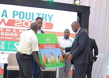Poultry industry warns of maize, soya shortage as feed costs rise