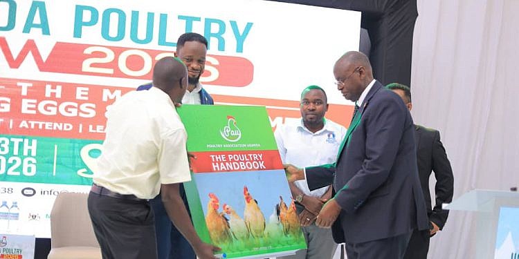 Poultry industry warns of maize, soya shortage as feed costs rise
