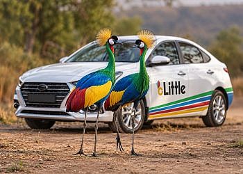 New ride-hailing platform Little sets sights on Uganda market