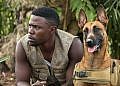 Walusimbi’s passion for dogs became his profession