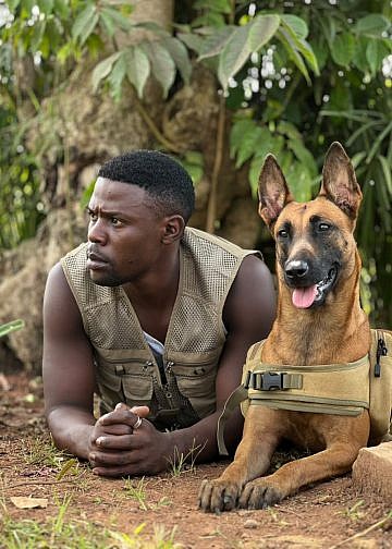 Walusimbi’s passion for dogs became his profession