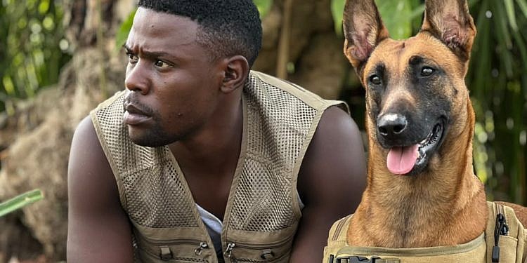Walusimbi’s passion for dogs became his profession