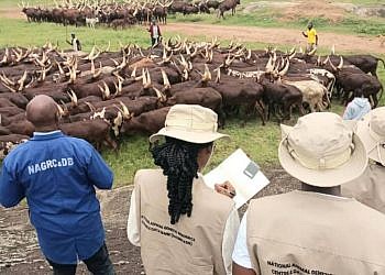 COSASE probes loss of 357 acres at Njeru Government Stock Farm