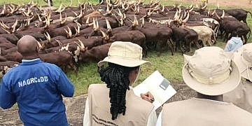 COSASE probes loss of 357 acres at Njeru Government Stock Farm
