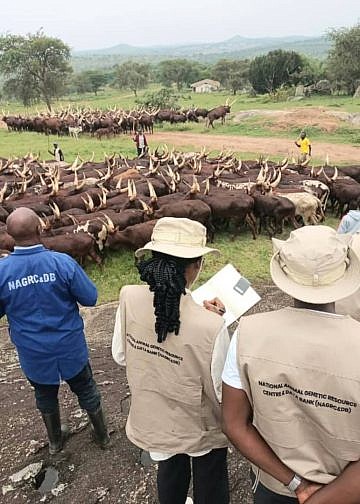 COSASE probes loss of 357 acres at Njeru Government Stock Farm