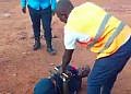 Securex supervisor arrested after viral video assaulting security guard