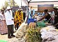 Museveni launches plan to end Karamoja’s dependence on relief food