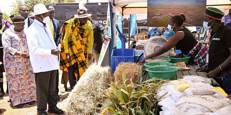 Museveni launches plan to end Karamoja’s dependence on relief food