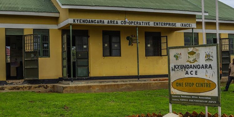 Sasakawa Africa’s one stop centre boosts market access, finance for Kitagwenda Farmers