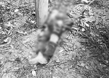 Man electrocuted in suspected electricity vandalism in Luweero