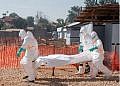 Kenya confirms first Ebola case 