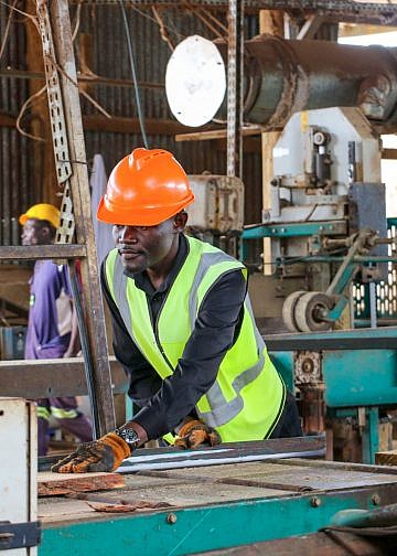 FAO launches program to support 54 Ugandan forestry enterprises