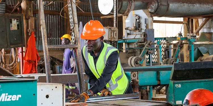FAO launches program to support 54 Ugandan forestry enterprises