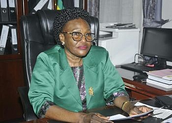 Government appoints new members to disability council