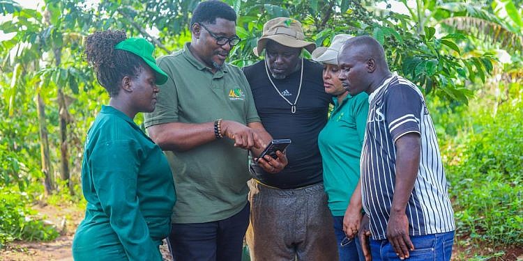 Sasakawa’s community extension model brings digital farm services closer to Nakaseke farmers