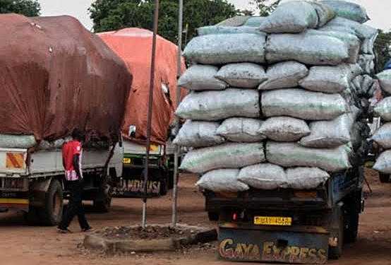 Carrying even one bag of charcoal could lead to arrest, Police warn